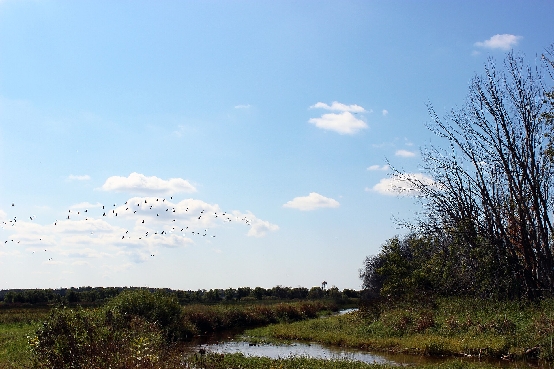 Allegan: An Invented Name and 50,000 Wild Acres