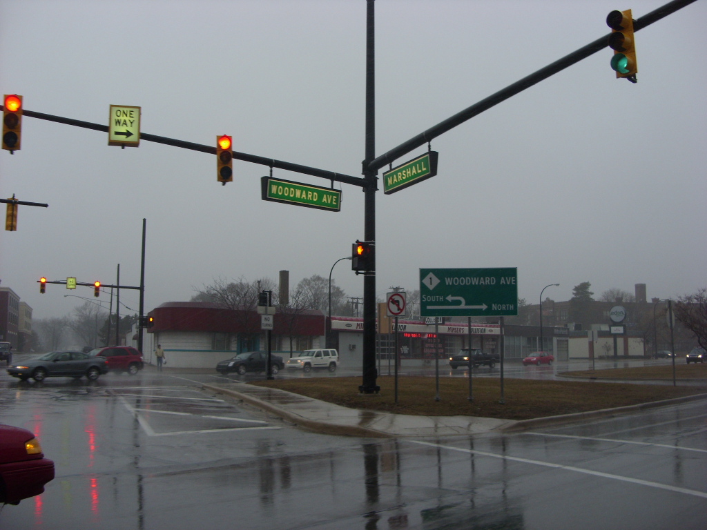 Ferndale: From Urbanrest to Detroit's Most Walkable Suburb