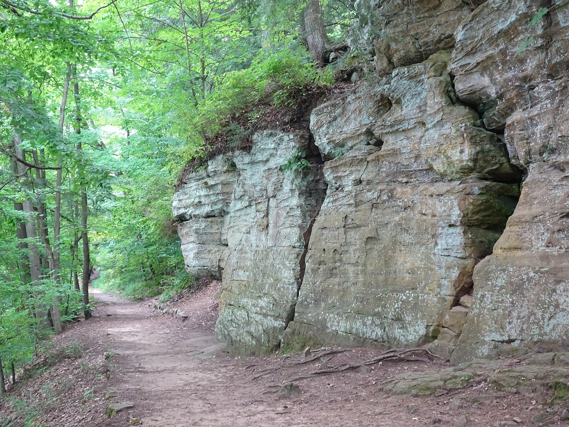 Layered sandstone cliffs along the Ledges Trail beside the Grand River in Grand Ledge, Michigan