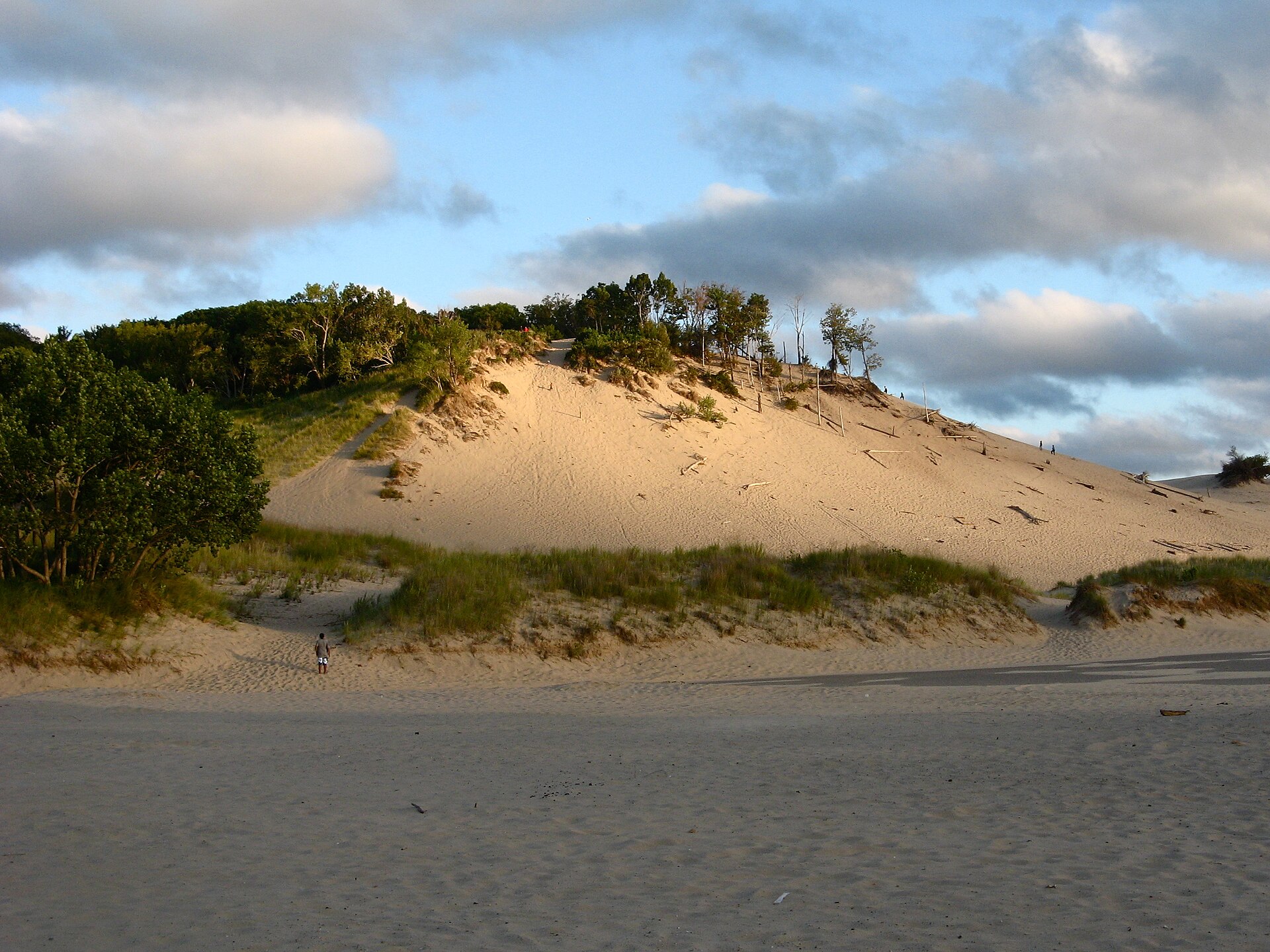 Sand dunes at Tower Hill in Warren Dunes State Park in evening light, Sawyer, Michigan