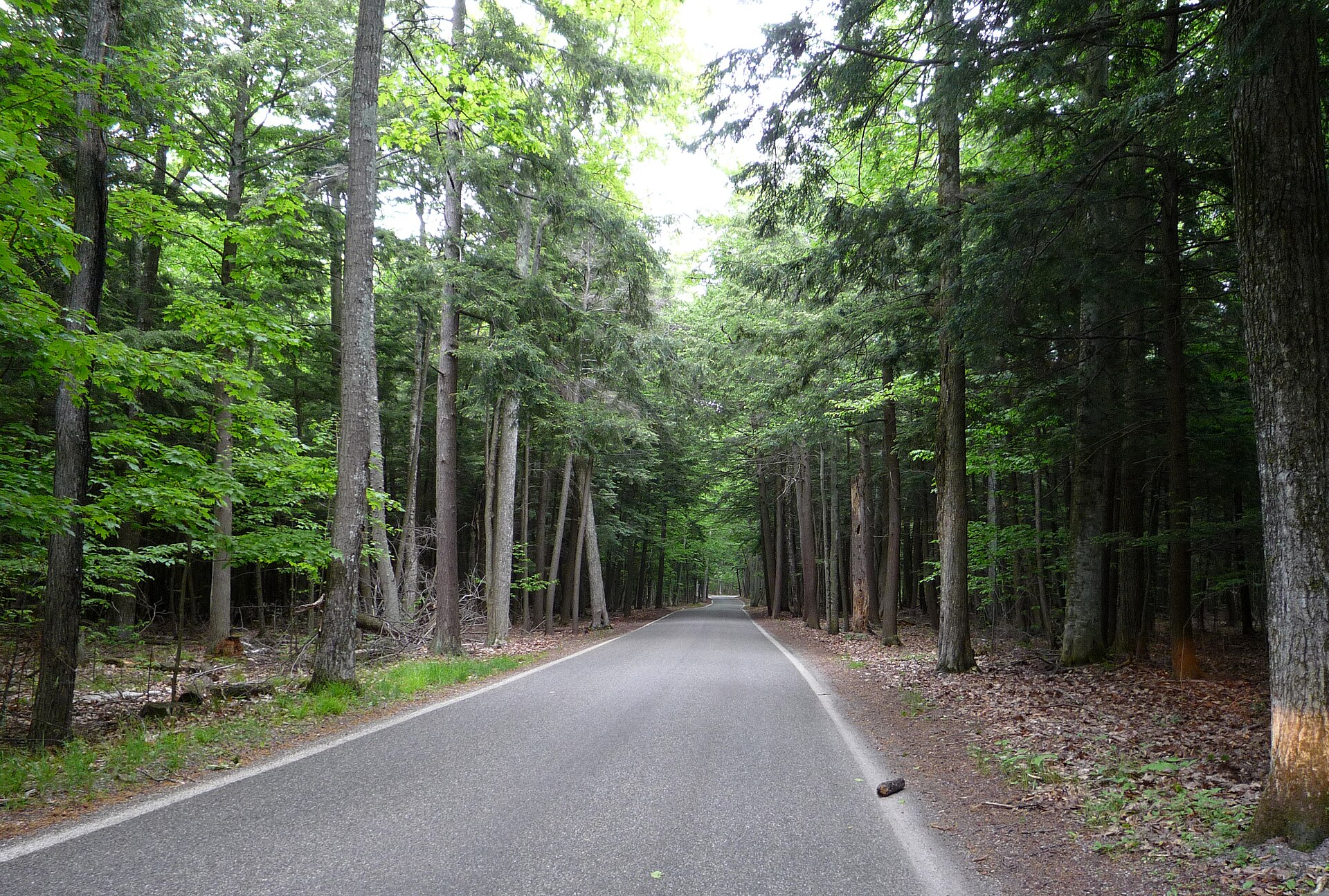 M-119: The Tunnel of Trees, Harbor Springs North