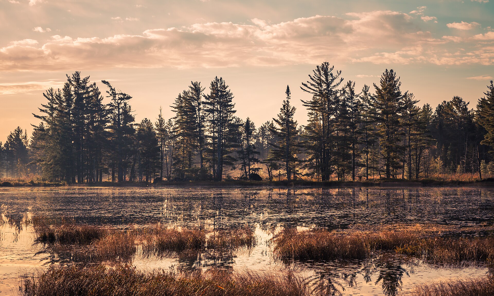 Newberry: The Moose Capital of Michigan