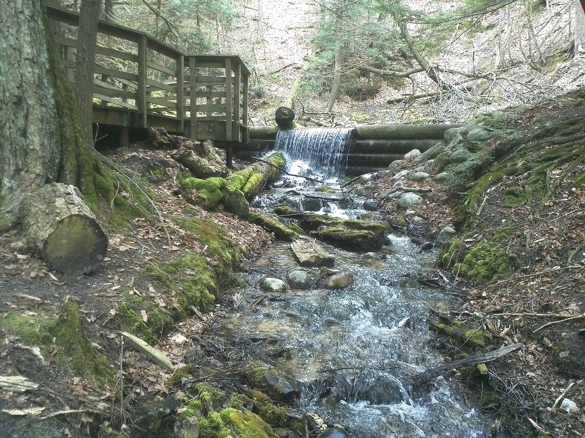 Oscoda: From Camp Skeel to Wurtsmith