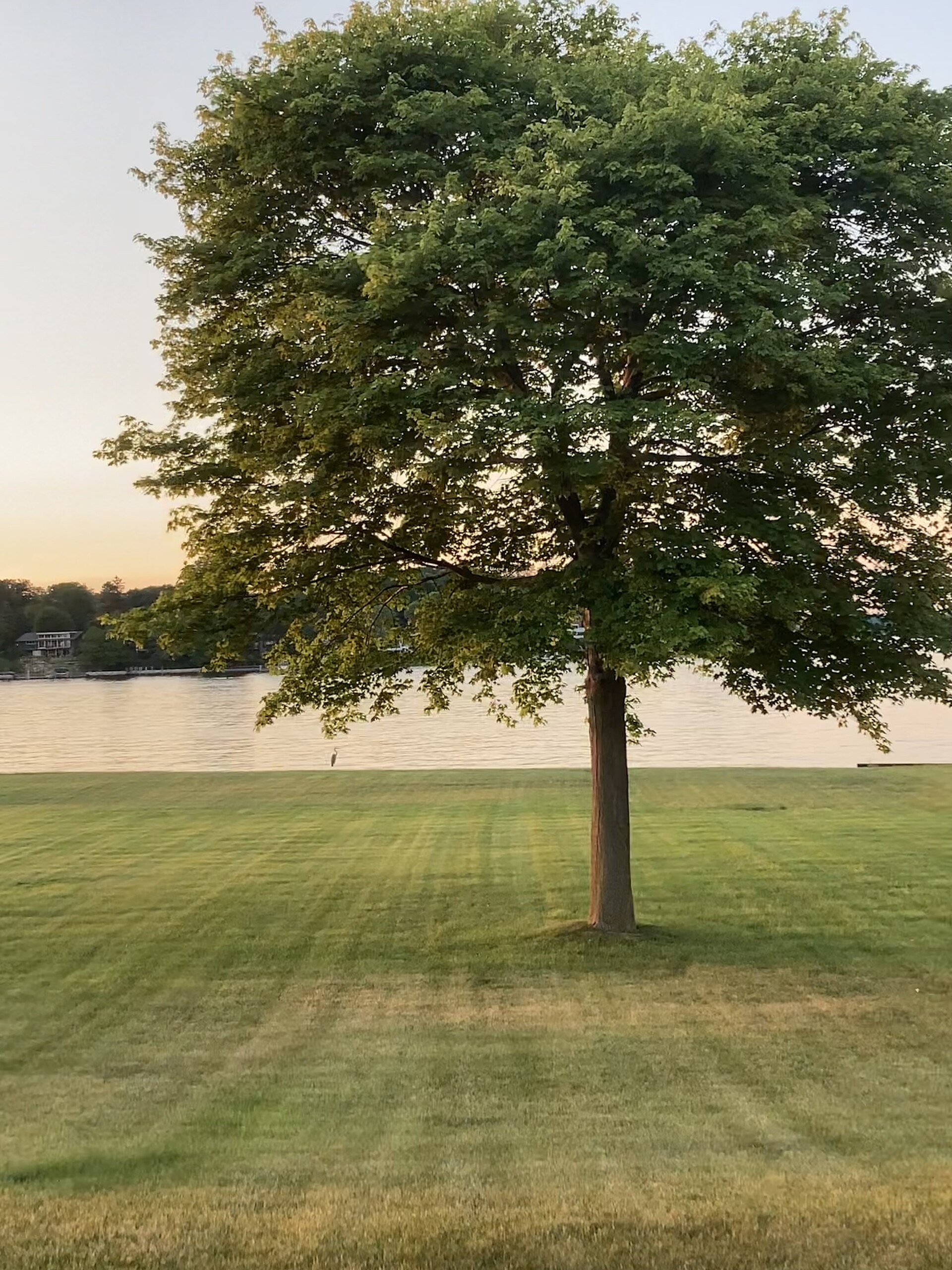 Spring Lake: From Hopkins Mill to Lakeside Village