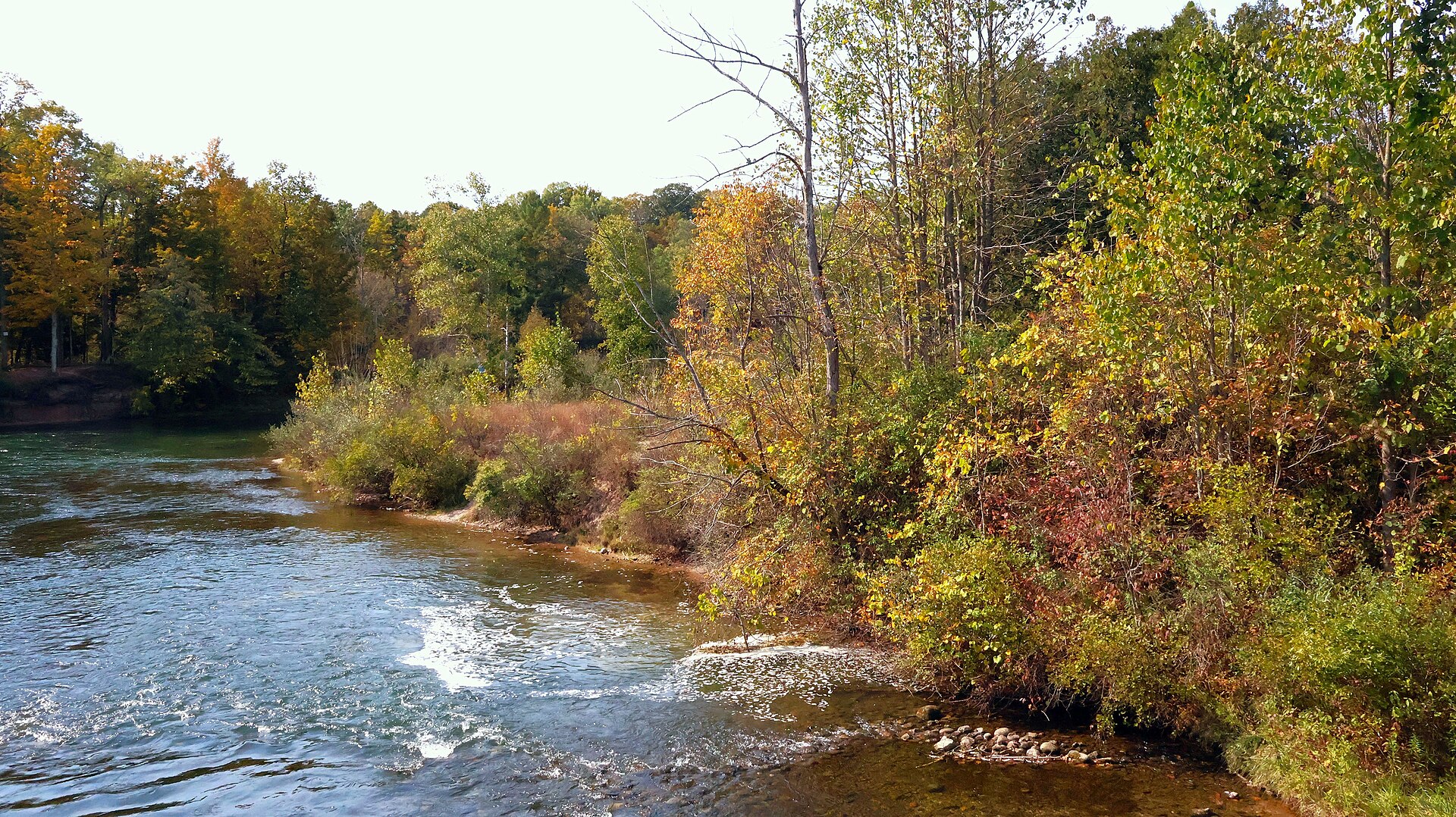 Autumn color along the Manistee River as it flows toward Tippy Dam in the Huron-Manistee National Forests