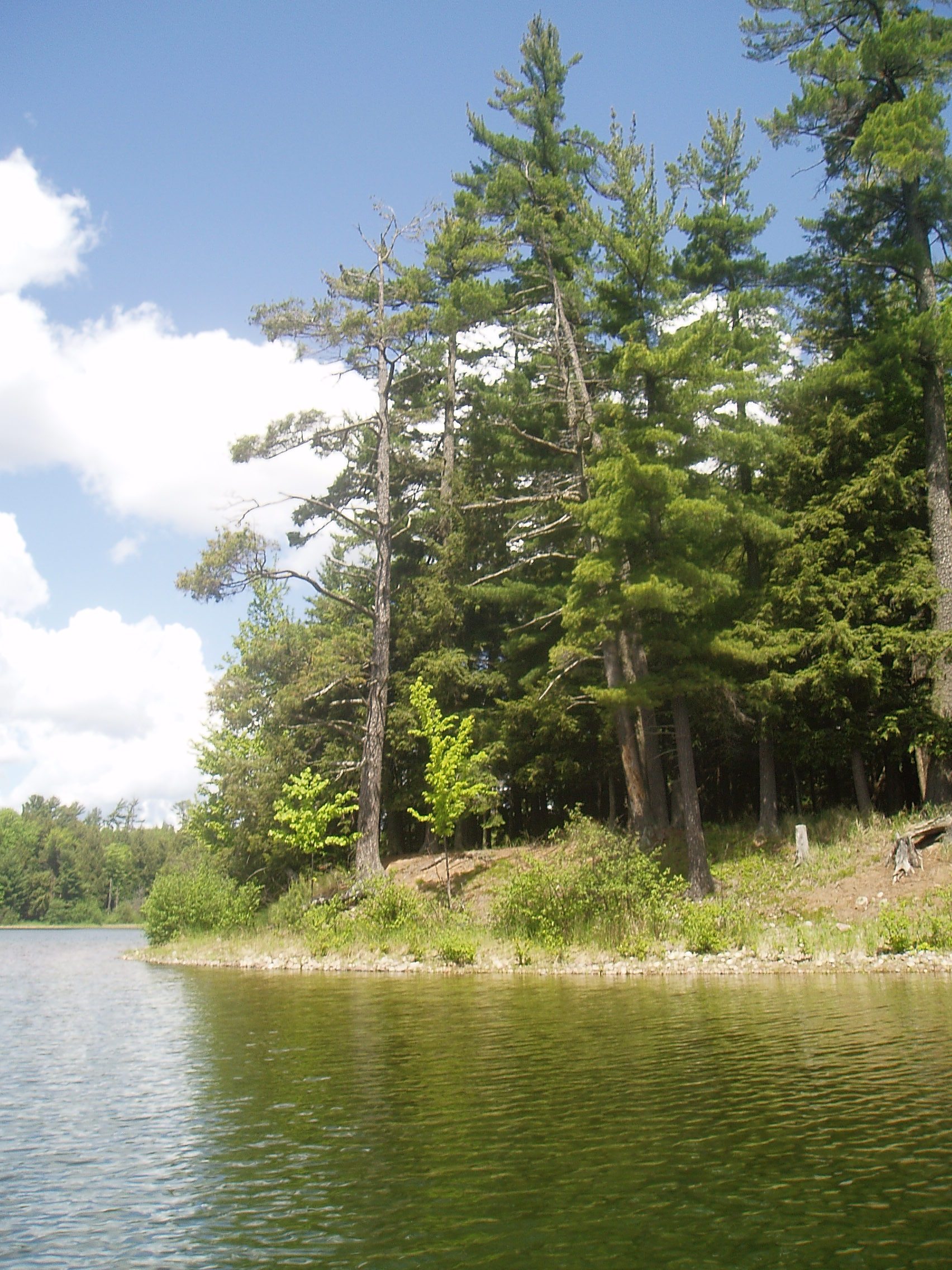 Watersmeet: Old-Growth Wilderness and a Ghost Light